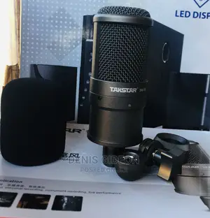 Professional Recording Microphone 