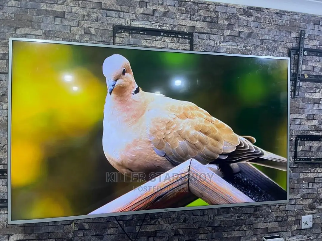 TV Inchi 65 Smart Star X