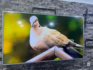 TV Inchi 65 Smart Star X