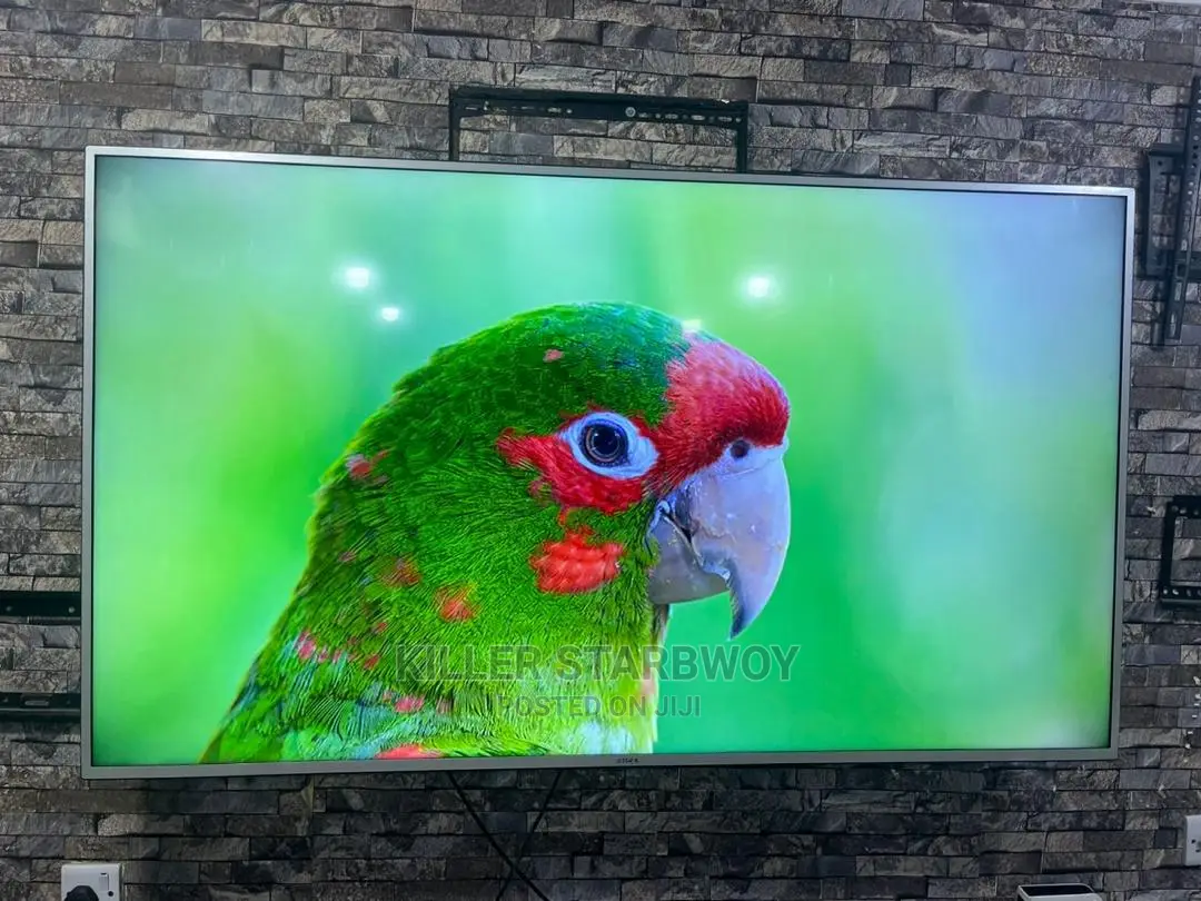 TV Inchi 65 Smart Star X