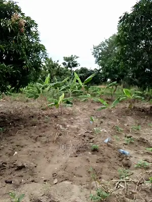 Eneo Linauzwa Kibaha