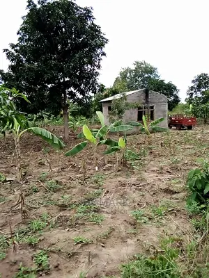 Eneo Linauzwa Kibaha