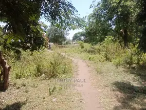 5 Acres Area for Sale
