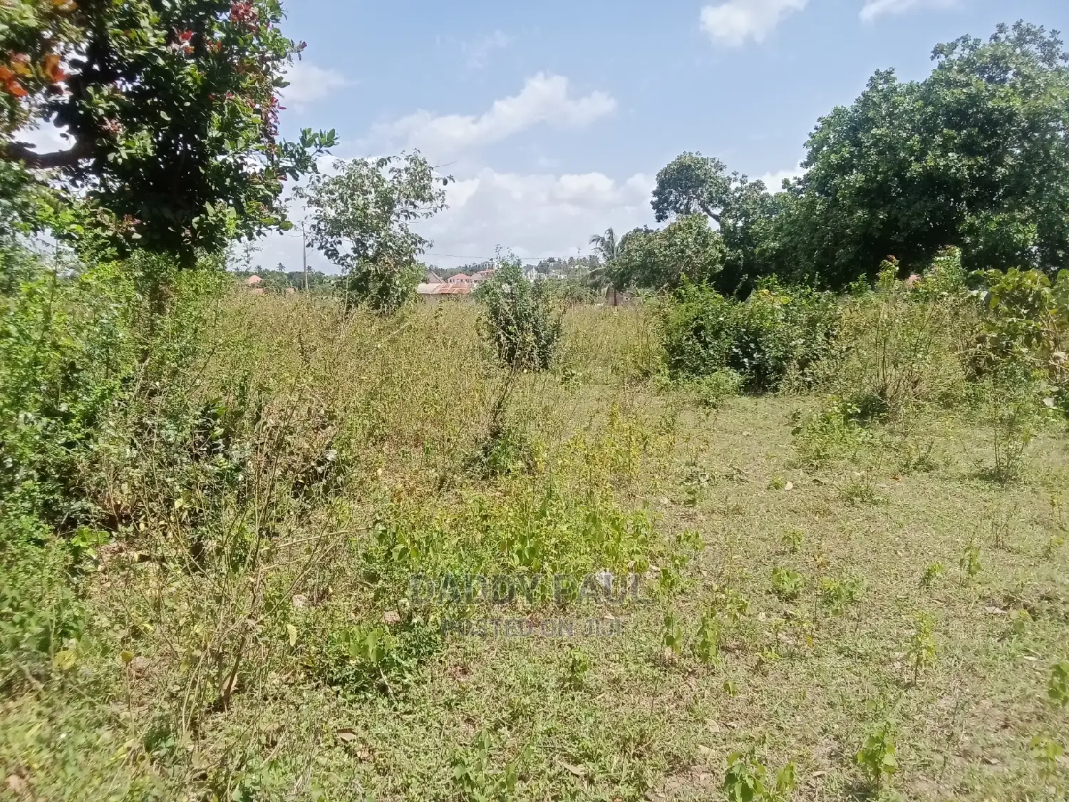 5 Acres Area for Sale