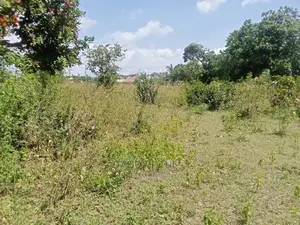 5 Acres Area for Sale