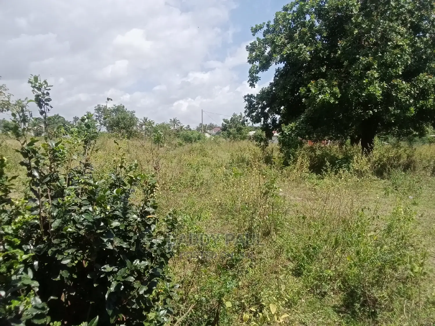 5 Acres Area for Sale