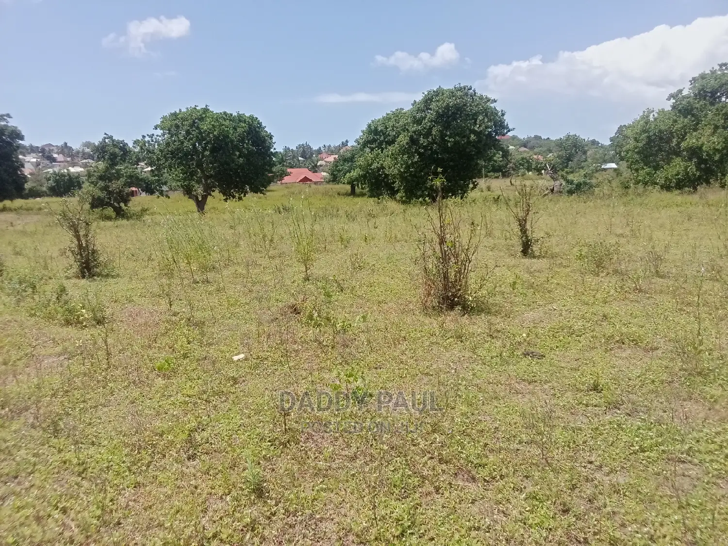 5 Acres Area for Sale