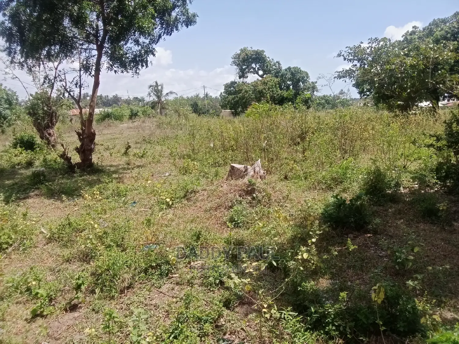 5 Acres Area for Sale