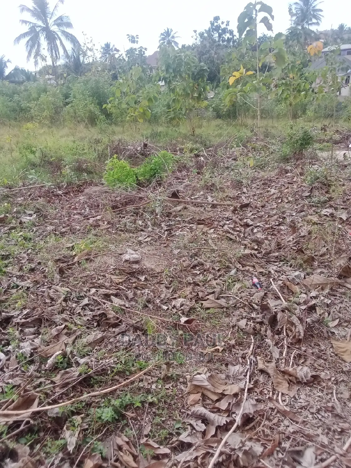 1.5 Acre Area for Sale