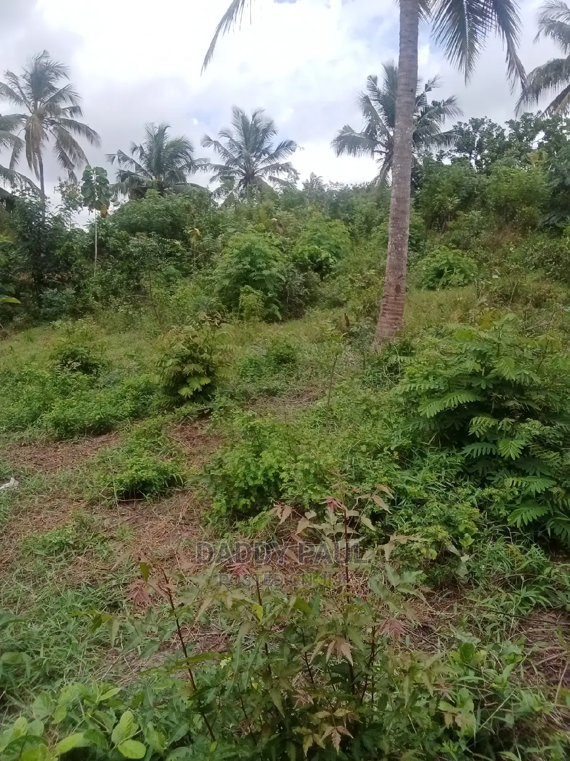 1.5 Acre Area for Sale
