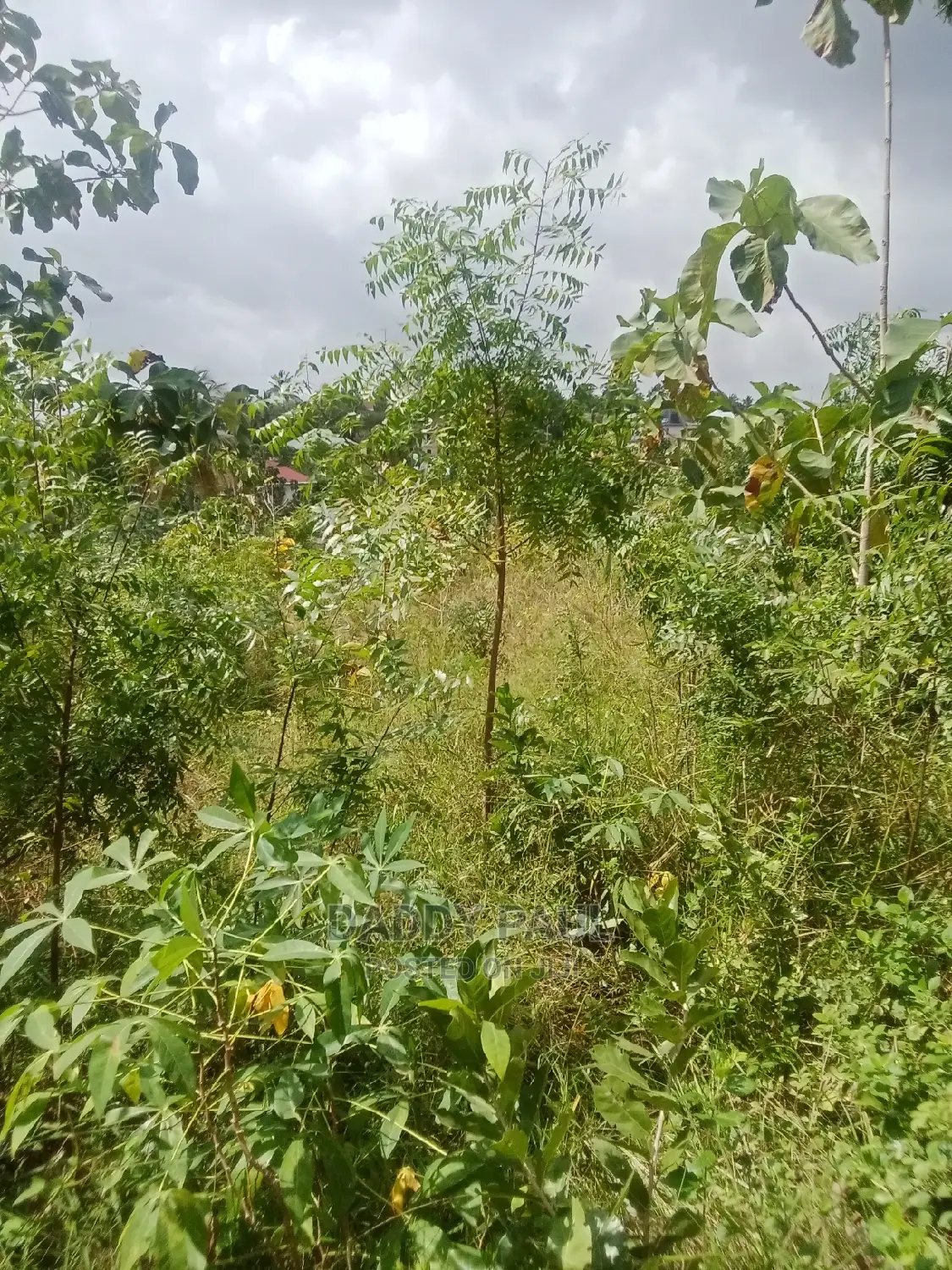 1.5 Acre Area for Sale