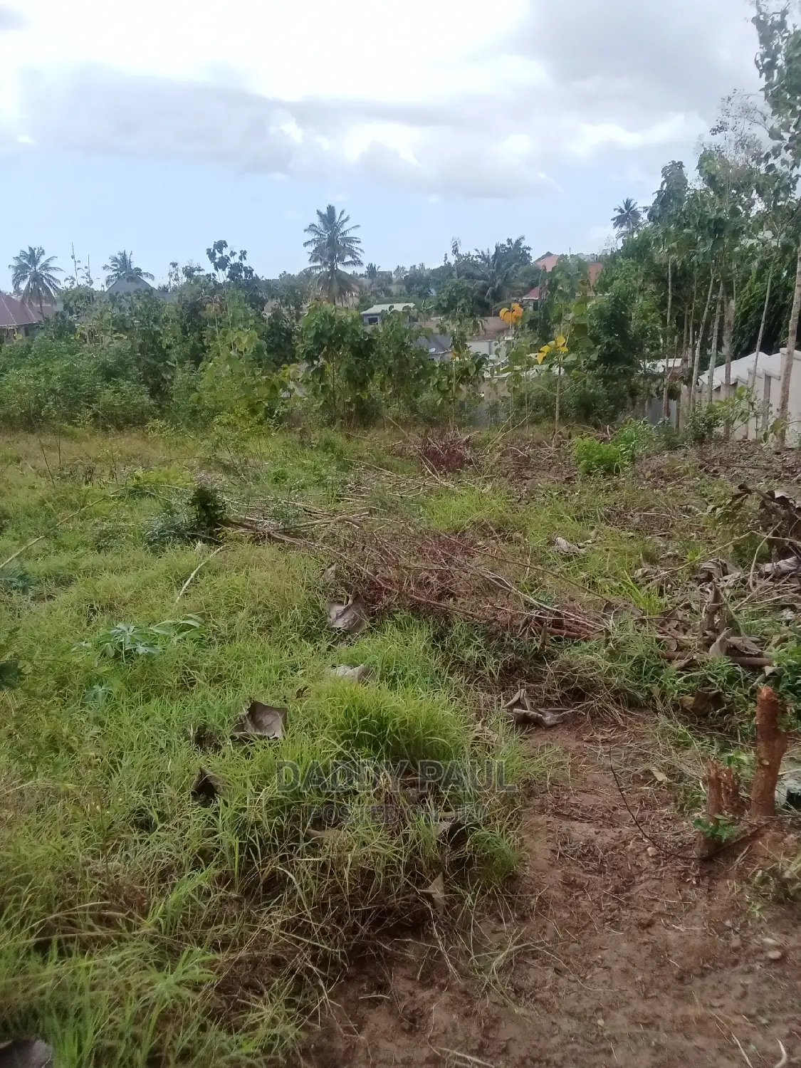 1.5 Acre Area for Sale