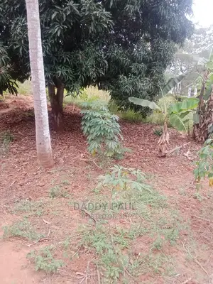1000sqm Plot for Sale