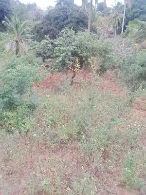 1000sqm Plot for Sale