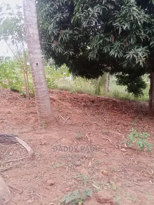 1000sqm Plot for Sale