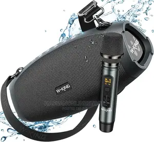 W King X10 Bluetooth Speaker With 1 Microphone