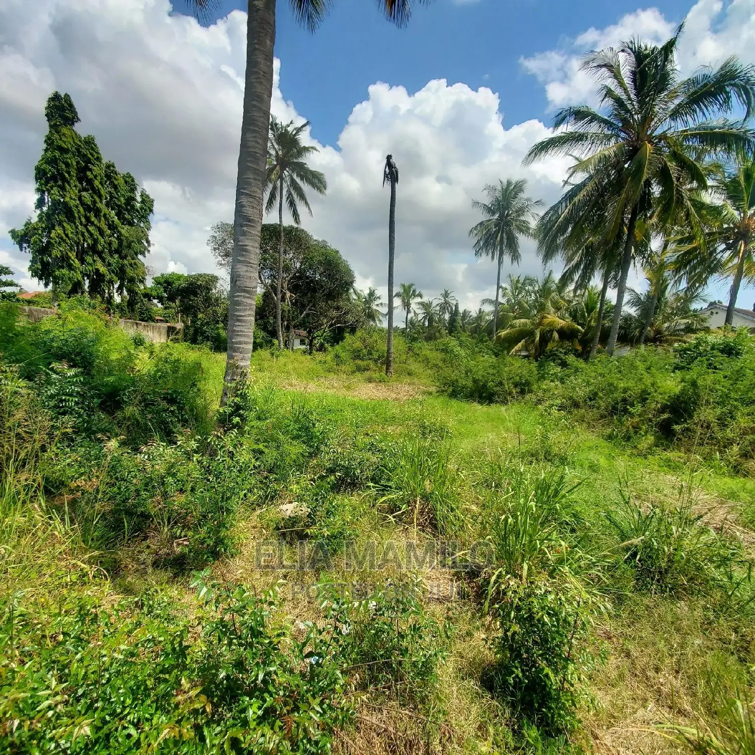 Beach Plot for Sale in Dar ES Salaam, Mjimwema, Maweni.