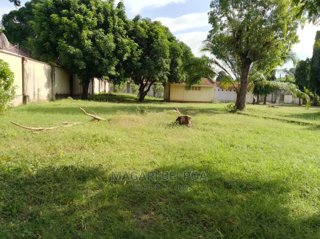 Eneo Linauzwa Nzuri Kwa Yard