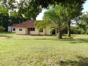 Photo - Eneo Linauzwa Nzuri Kwa Yard