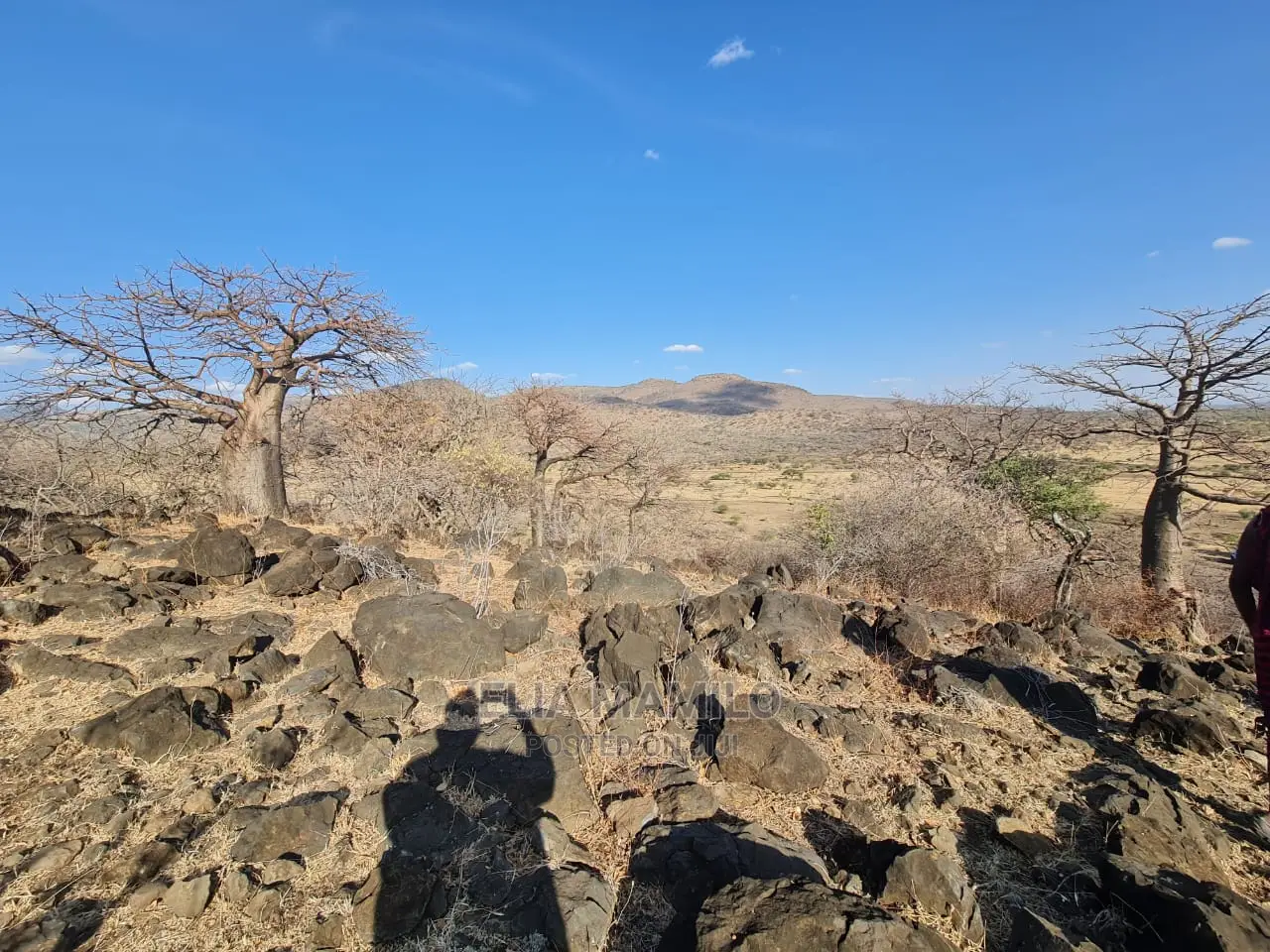 Lake Manyara View, Land for Sale in Monduli Arusha