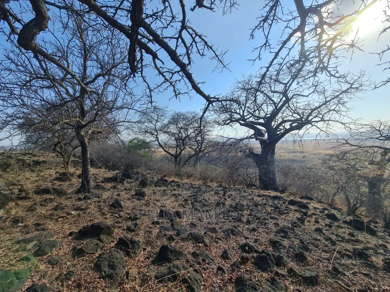 Lake Manyara View, Land for Sale in Monduli Arusha