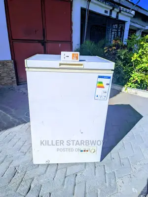 Friza Lita 100 Na Fridge Guard