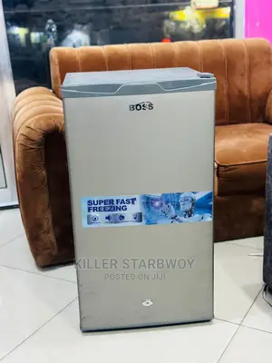 Fridge Boss Clean Sana