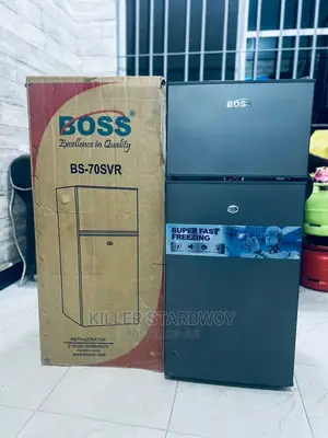Fridge Lita 70 BOSS