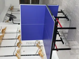 Table Tennis