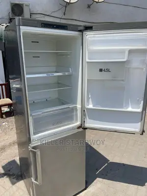 Samsung Fridge Ina Water Dispenser