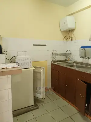 Furnished Studio Apartment in Mikocheni for rent