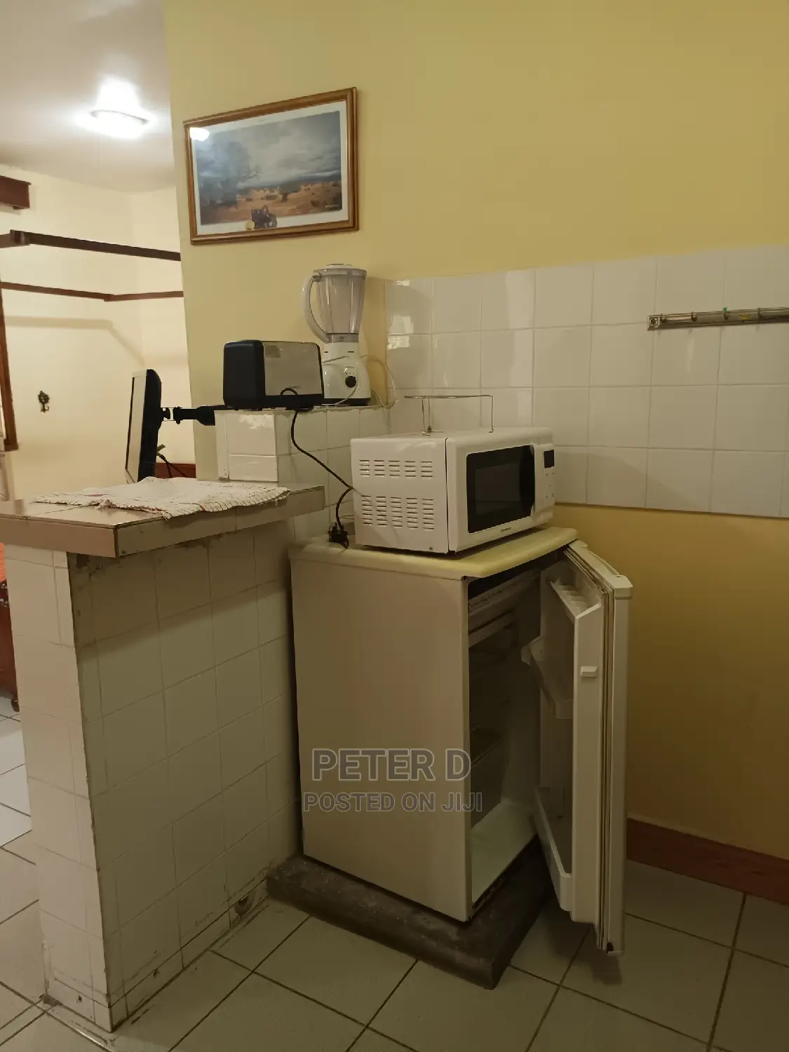 Furnished Studio Apartment in Mikocheni for rent
