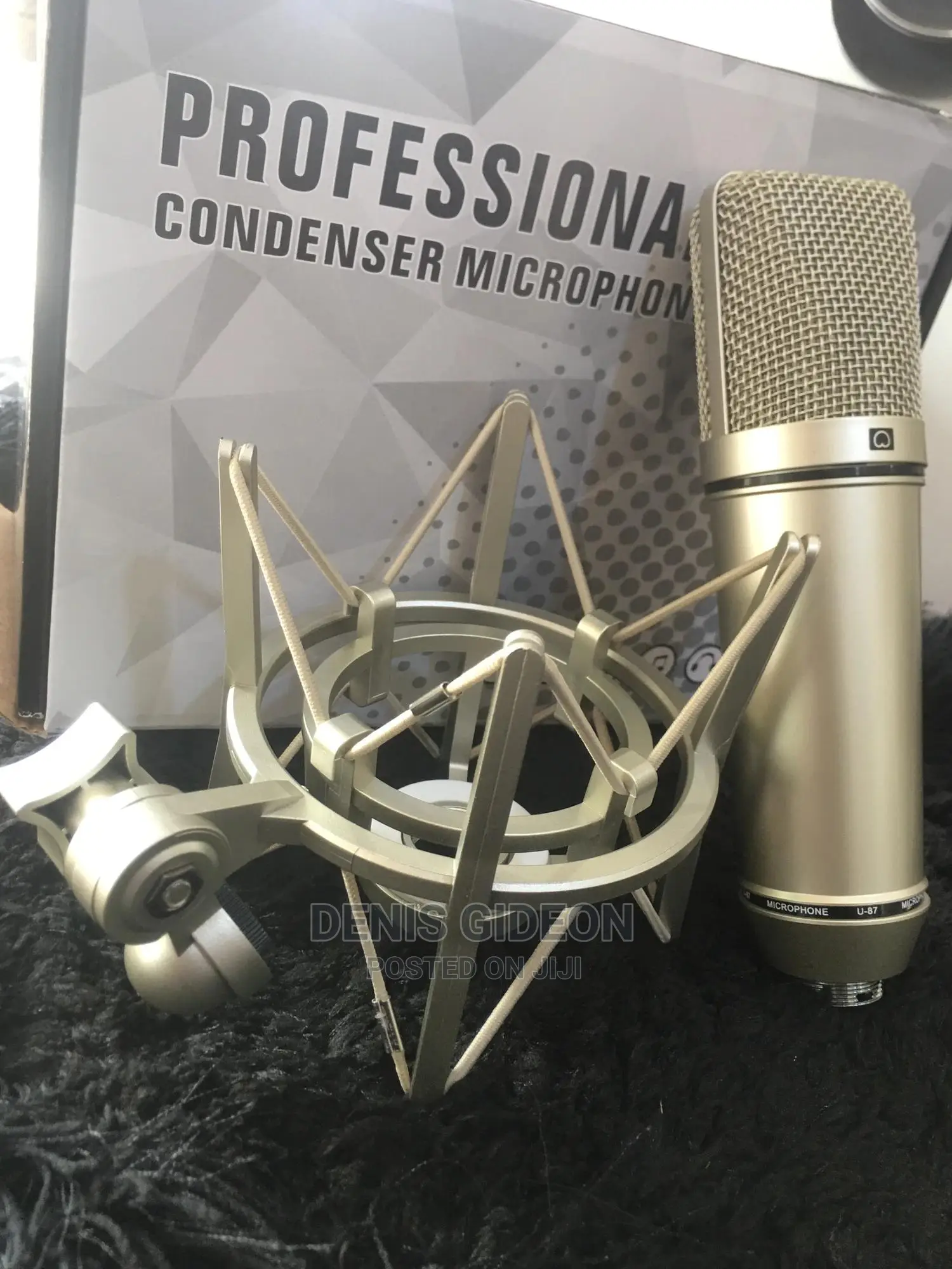 Professional Condesor Microphone