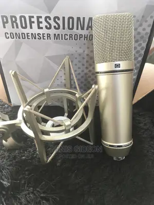 Professional Condesor Microphone