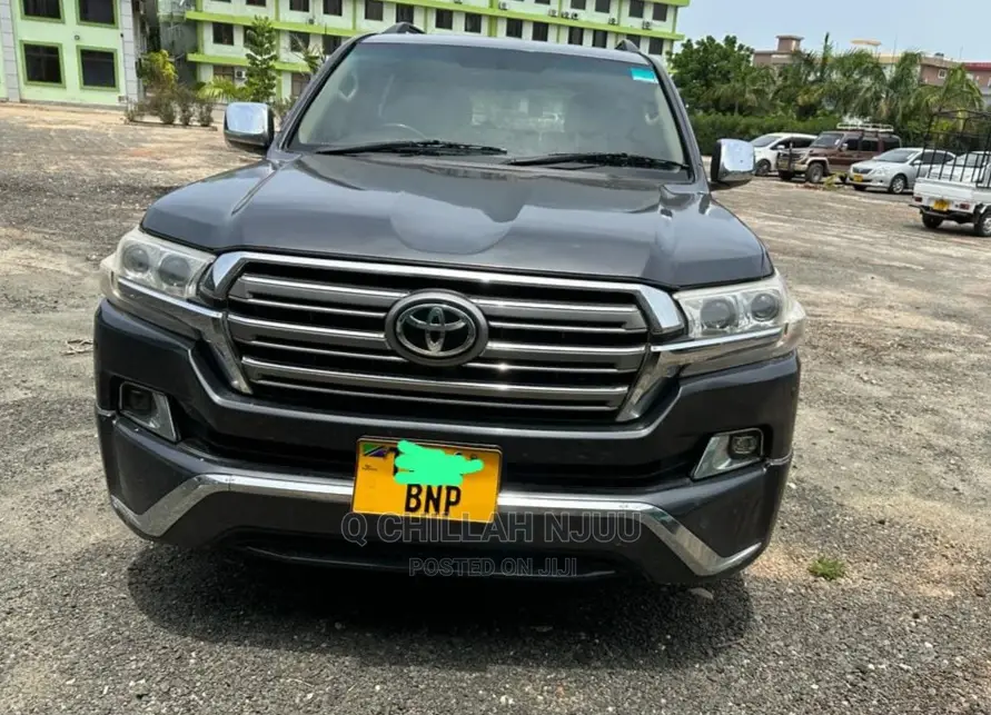 Toyota Land Cruiser 2010 Gray