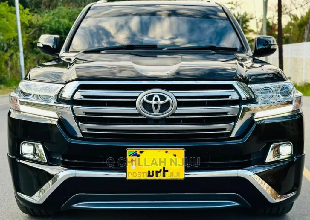 Toyota Land Cruiser 2010 Gray
