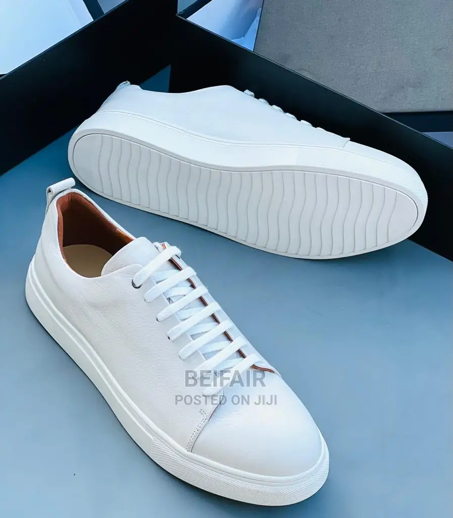 ECCO Brand |Original Men's Shoes | Viatu Original Vya Kiume