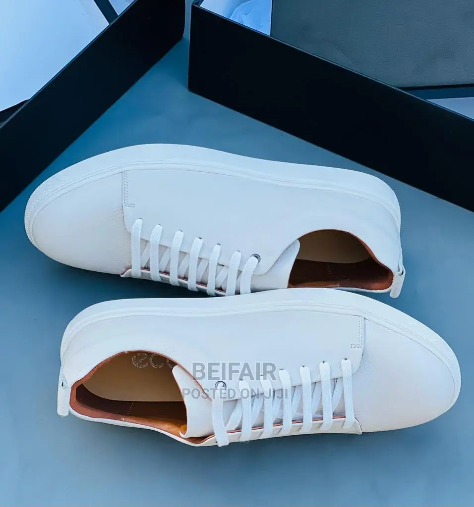 ECCO Brand |Original Men's Shoes | Viatu Original Vya Kiume