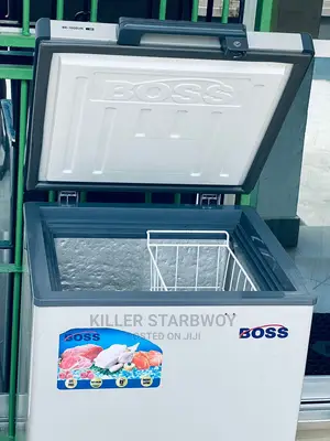 Freezer Lita 100