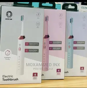 Greenlion Electric Toothbrush