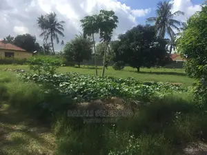 3bdrm House in Tabata Chama for sale