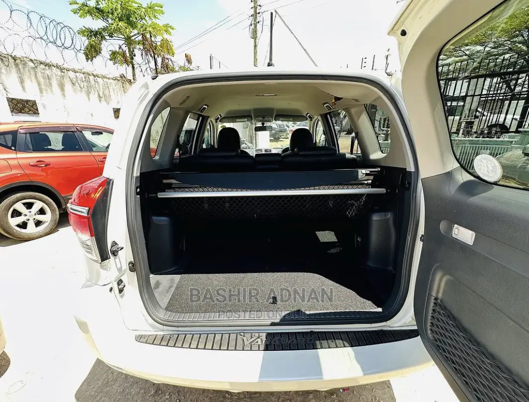 Toyota Vanguard 2010 Pearl