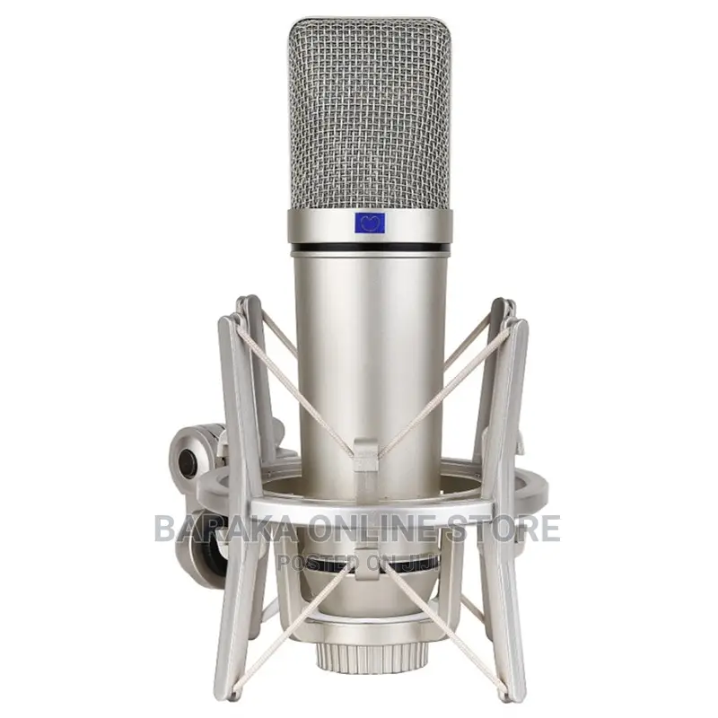 U87 Condenser Microphone