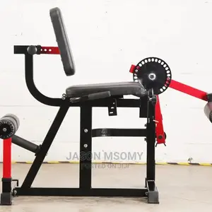 Leg Extension
