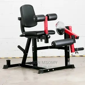 Leg Extension