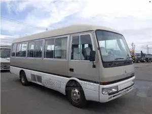 Mitsubishi Fuso Rosa 1995 Brown