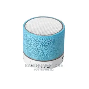 Radio Speaker