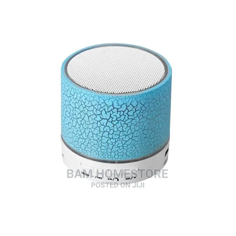 Radio Speaker