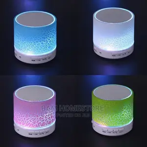 Radio Speaker