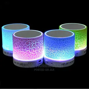 Radio Speaker